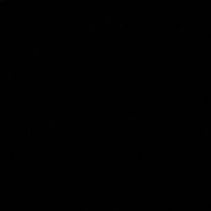 Meet your Posher, Joyce